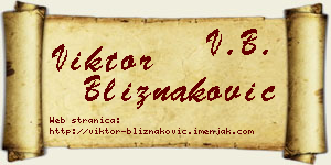 Viktor Bliznaković vizit kartica